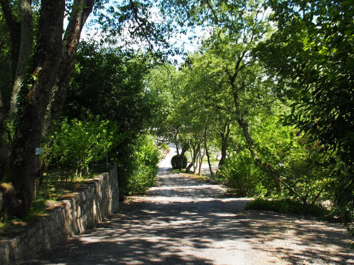 Camping Mas Du Sartre Saint Alban Auriolles Eksteriør bilde